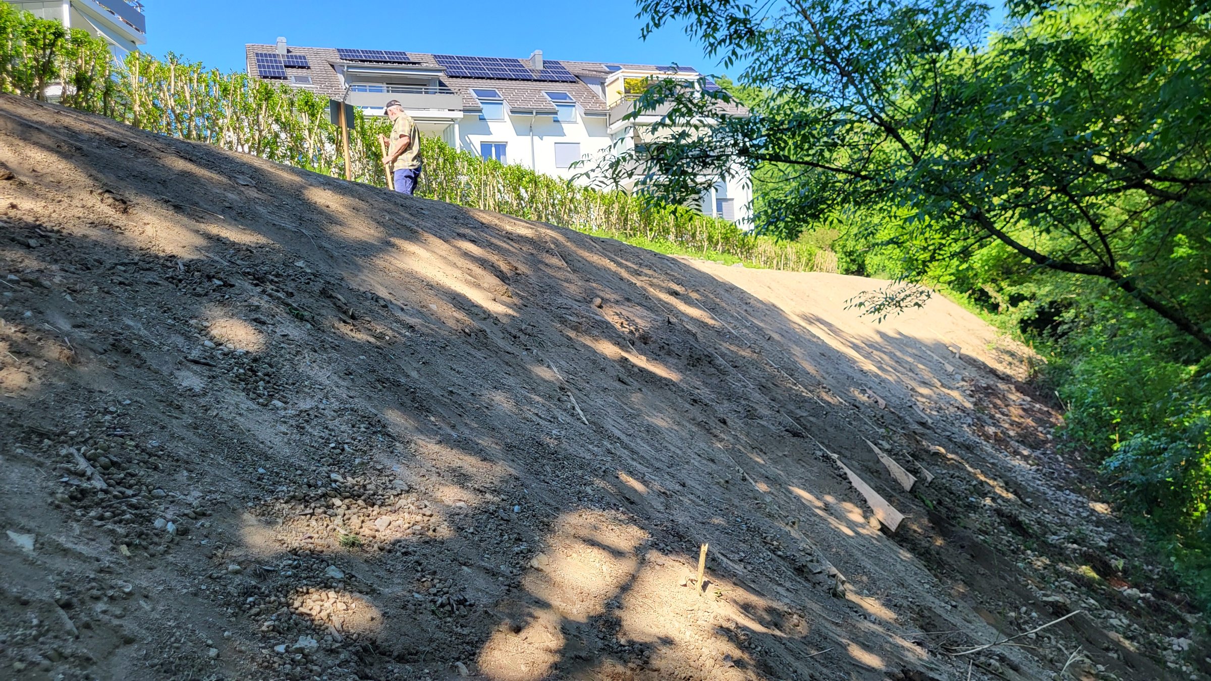 Böschung angesät