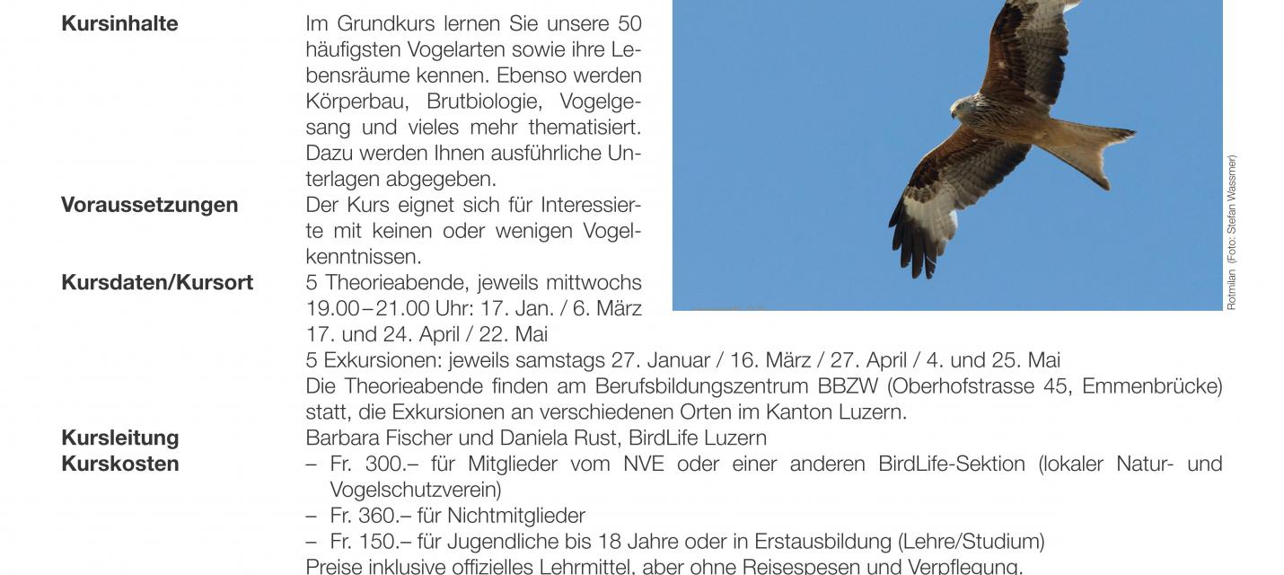 Ausschreibung Ornithologischer Grundkurs 2024