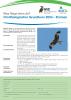 Ausschreibung Ornithologischer Grundkurs 2024